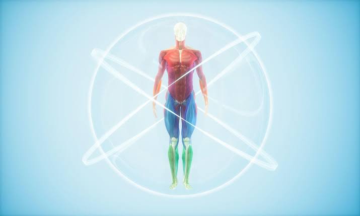 Longevity Isn’t Equal: Why Life-Extending Treatments May Be a “Biological Lottery”