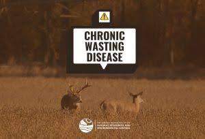 Delaware Confirms State’s First Case of Chronic Wasting Disease in Wild White-tailed Deer