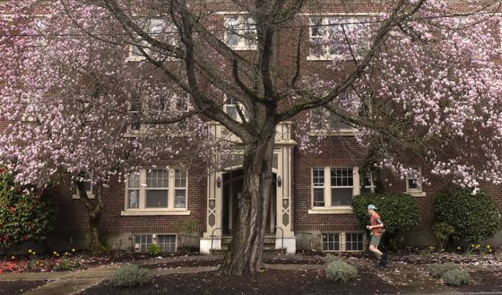 Are regional allergy seasons getting worse?