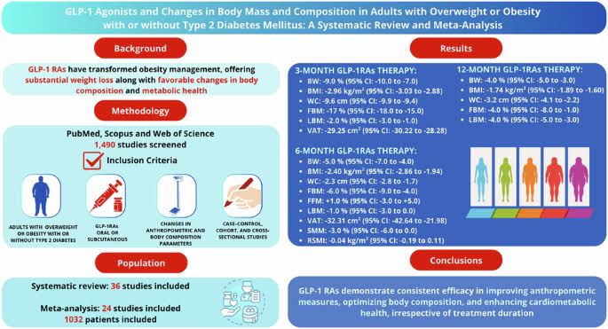 GLP-1 agonists and changes in body mass and composition in adults with overweight or obesity with or without type 2 diabetes mellitus: a systematic review and meta-analysis