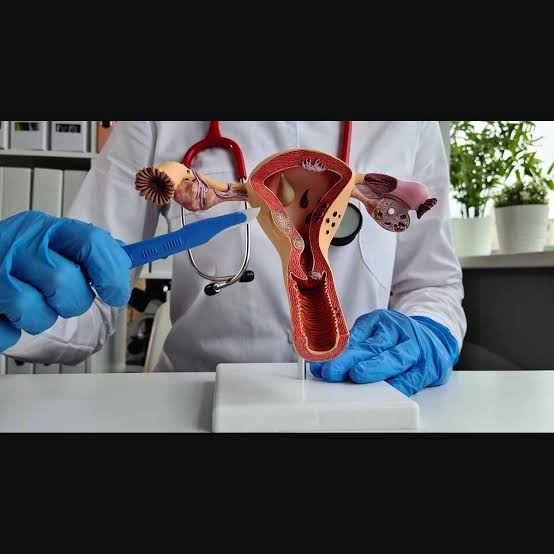 Are microplastics affecting your fertility? The silent threat of plastic in the ovaries