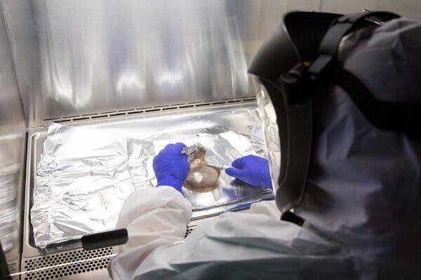 Nature Is Still Molding Human Genes, Study Finds