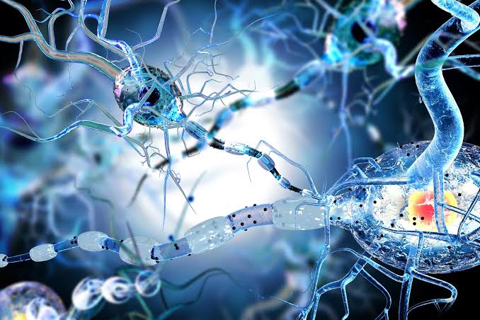 Scientists Discover How Multiple Sclerosis Kills Brain Cells