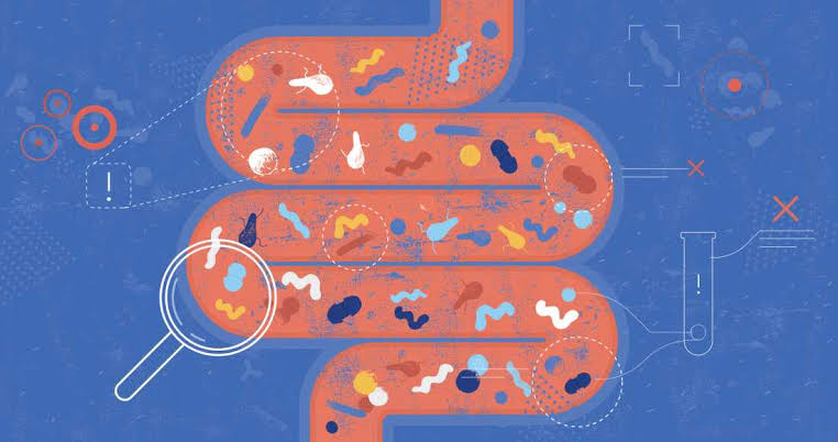 Scientists search the microbiome for clues to the rise in colorectal cancers