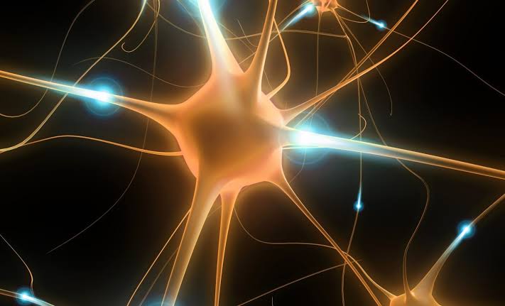 Scientists discover why some brains resist Alzheimer’s decline