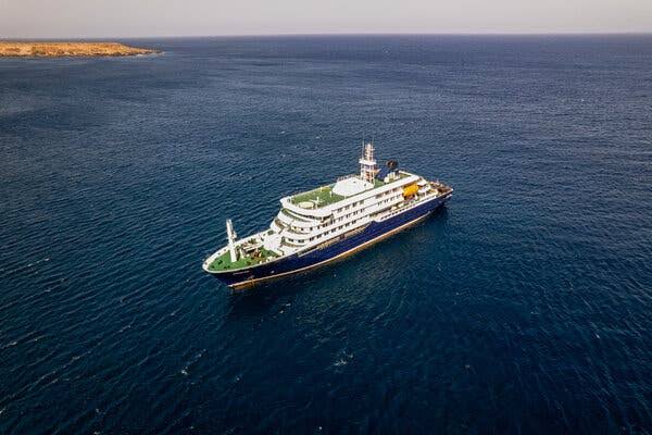 Before Hantavirus Outbreak, the MV Hondius Attracted ‘a Different Type of Traveler’