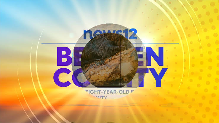 Angry Beaver Attacks 8 Year Old Boy At Mahwah Park