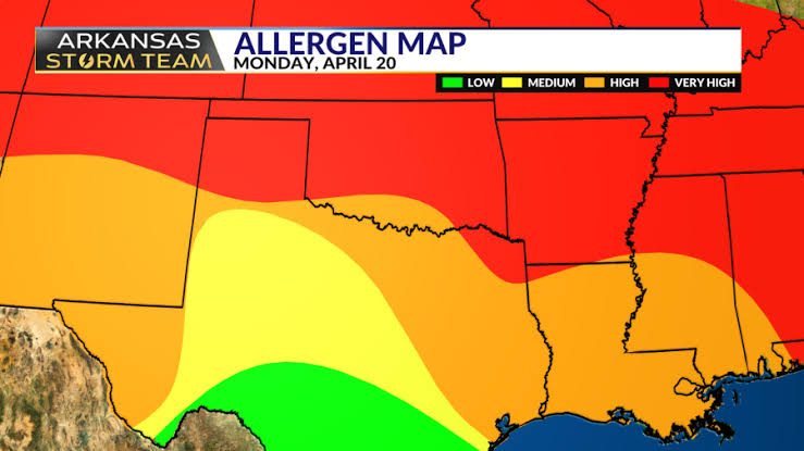 Arkansas Storm Team Blog: Arkansans with allergies feel the effects from high pollen counts