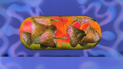 Magic mushrooms could help people quit smoking