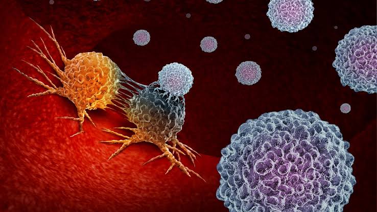 Scientists say cancer cells have an Achilles heel, they can be starved to death