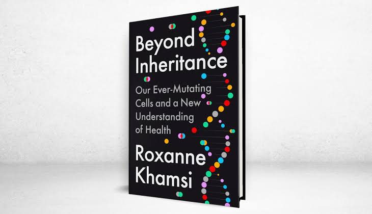 ‘Beyond Inheritance’ Review: Divisional Danger