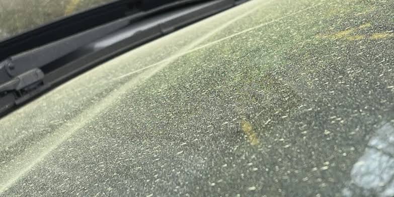 Pollen Problems: Alabama doctor sharing advice to deal with seasonal allergies