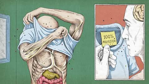 The air throughout our homes is infused with microplastics. But there are things you can do to breathe less of them