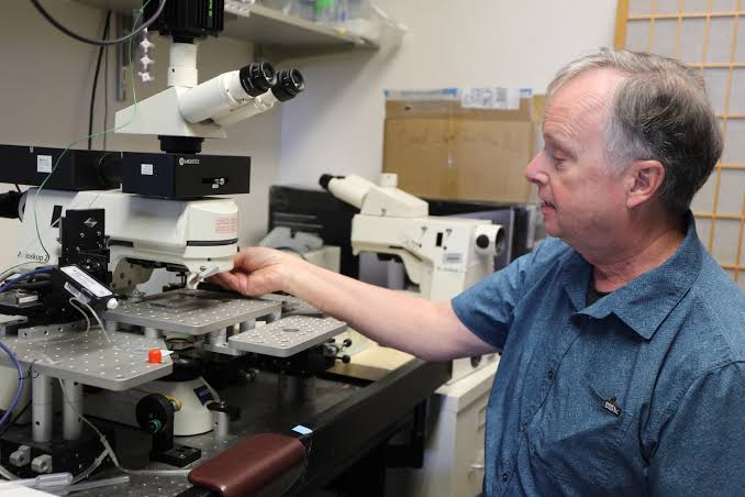 What’s behind phantom ear ringing? Scientists find the brain switch