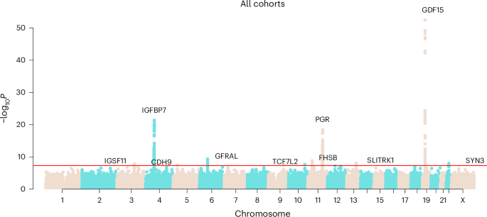 Multi-ancestry genome-wide association study of severe pregnancy nausea and vomiting