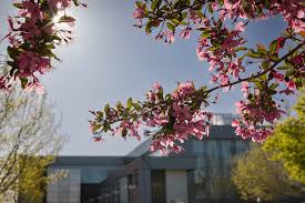 Stories this photo appears in: