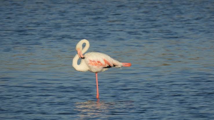 Six Science-Backed Tests To Show How Well You're Ageing