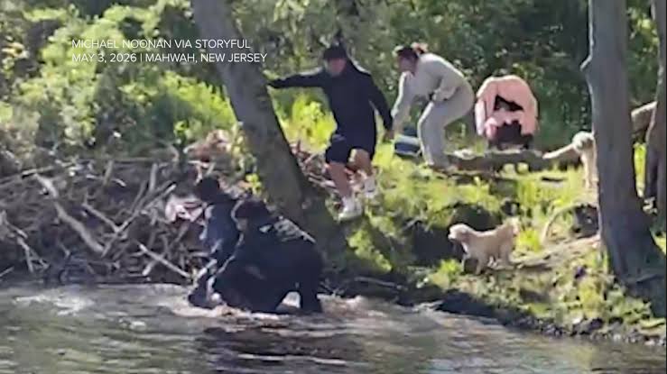 New Jersey beaver attack: 8-year-old boy injured by animal at park in Mahwah, NJ
