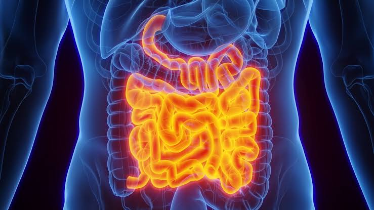 A Special Protein in Your Gut Has The Power to Neutralize Bacteria