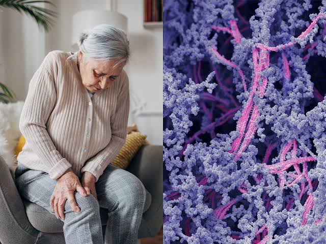 Goodbye, knee pain. In a medical first, scientists have found a way to regrow damaged cartilage.