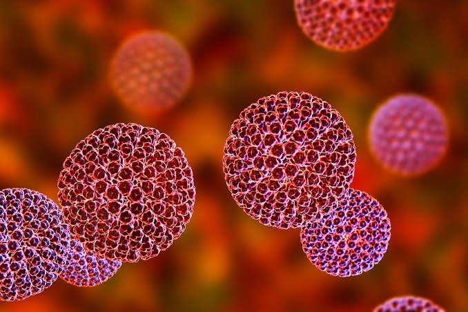 Deadly virus that causes vomiting, diarrhea on the rise in the U.S.: Here’s what to know