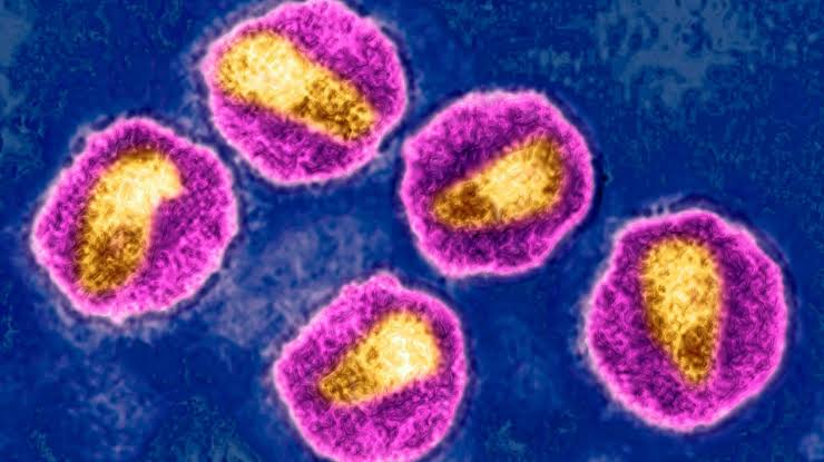 Norway Man Cured of HIV With Brother’s Stem Cells