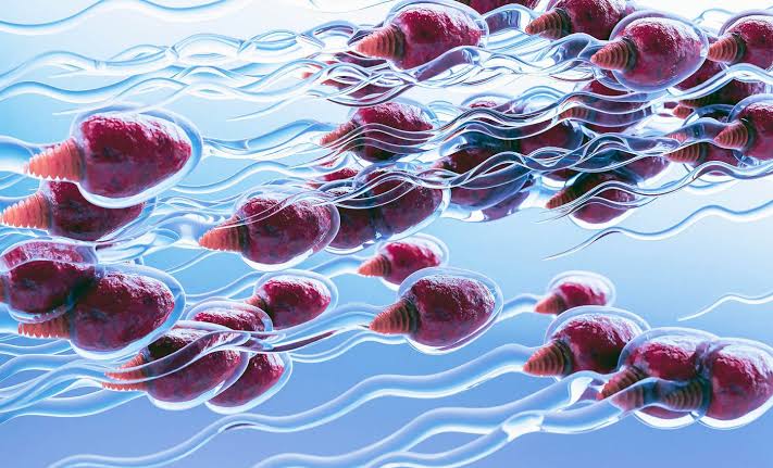 Reversible male contraception just took a huge step towards becoming a reality