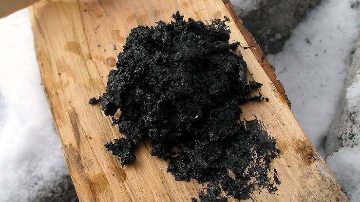 Neanderthals Used Ancient Gloop as Antibacterial Medicine, Study Suggests