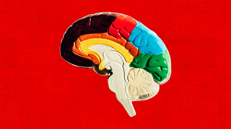 Want to Cut Your Alzheimer's Risk by 38%? An 8-Year Study of Nearly 2,000 People Says Do This for a Stronger Brain