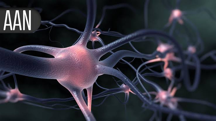 New Kink in the Link Between GLP-1 Drugs and Cognition