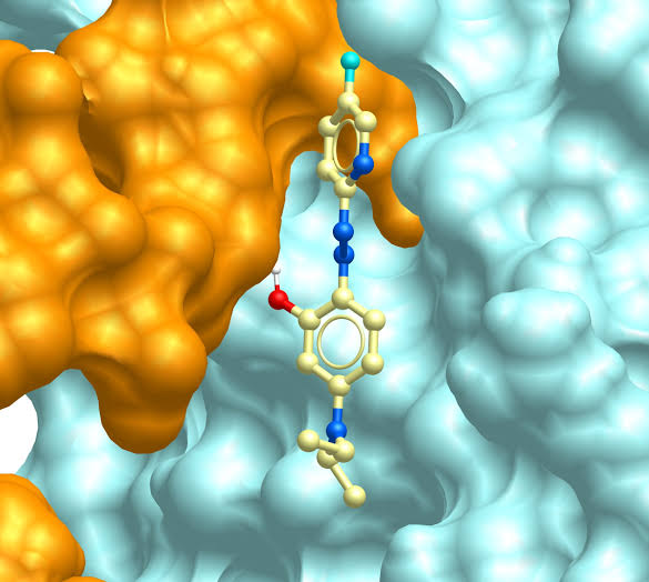 First-in-class molecules dial down inflammation without compromising immunity