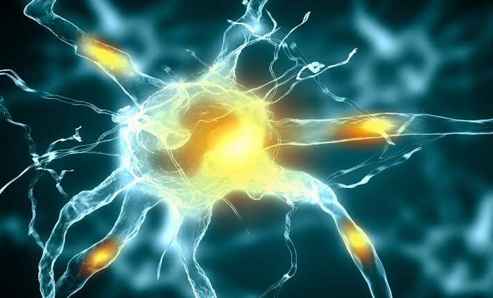 Your brain uses the same cells to see and imagine