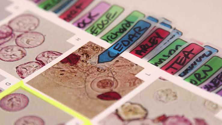 ‘Buckle up’: Allergy season hitting early — and hard — in Utah