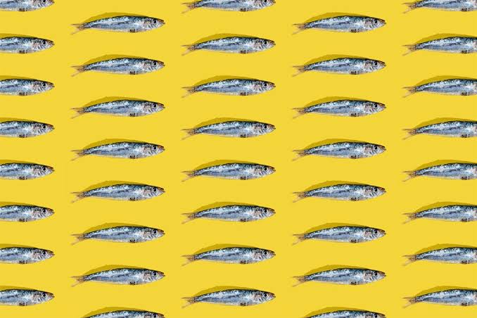 What is “sardinemaxxing” and should you try it?