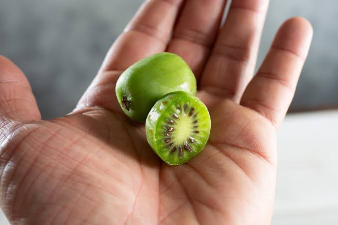 This Little-Known Japanese Fruit Could Help Stop Lung Cancer Before It Starts