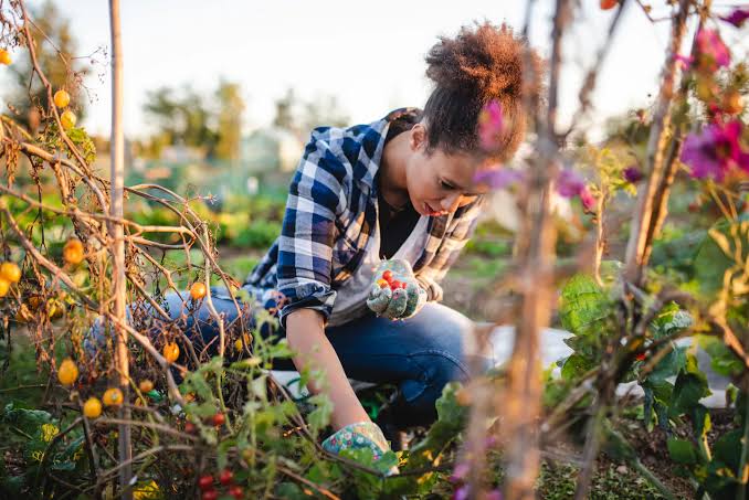 This simple springtime activity is surprisingly good for your brain