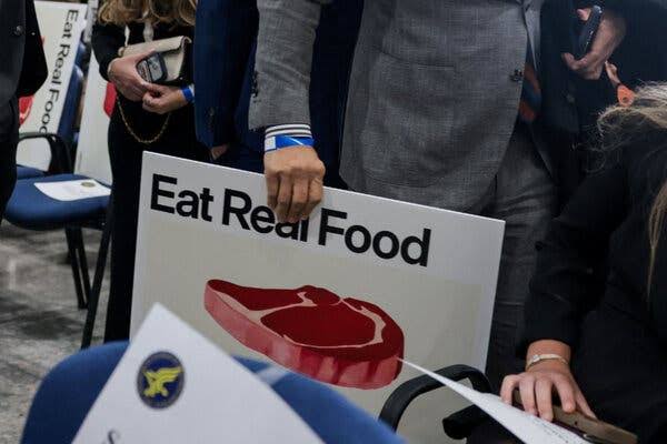 Does the Carnivore Diet Eliminate Visceral Fat?