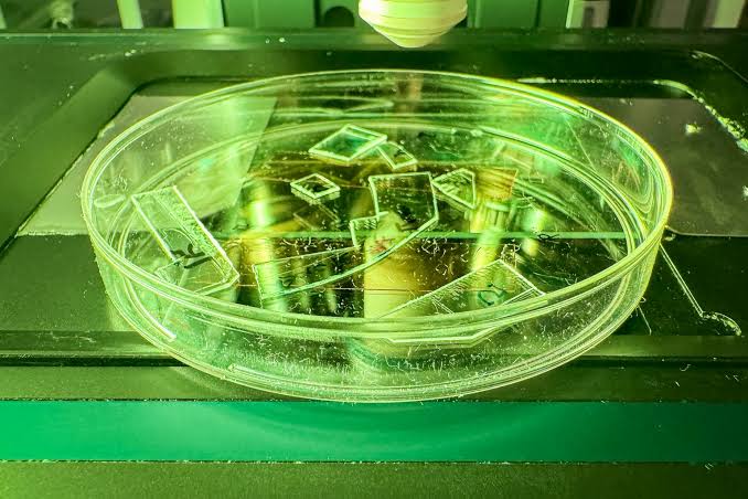 New plastic film covered in thousands of tiny pillars can tear apart viruses on contact