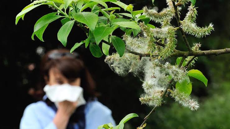 Yes, Allergies Really Are Worse This Year — Here’s Why And What To Do About It Right Now