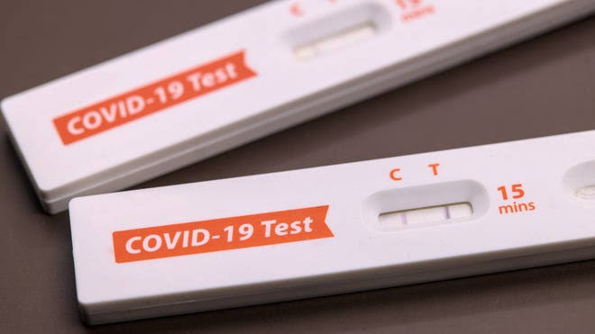 Cicada COVID found at JFK airport; what to know about variant in NYC