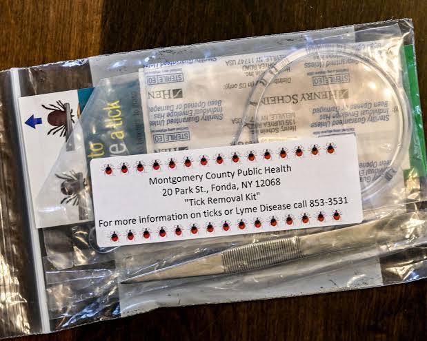 Surge in tick-borne illnesses prompts experts to urge precaution