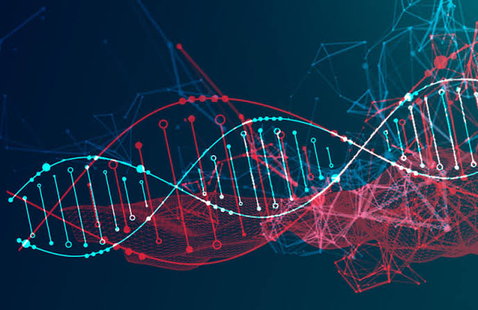 Massive Ancient-DNA Study Reveals Natural Selection Has Accelerated in Recent Human Evolution