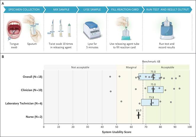 A single swab paves the way for simplified tuberculosis diagnosis