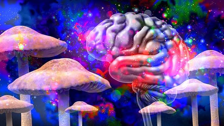What 500 Brain Scans Reveal About How Psychedelics Work