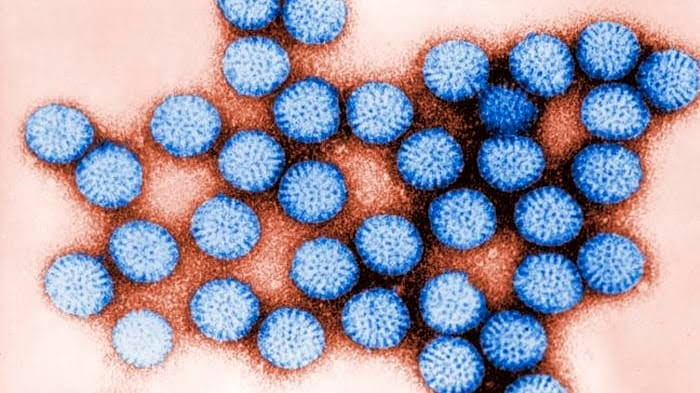 Rotavirus cases are on the rise. Here's what to know about the highly contagious disease.