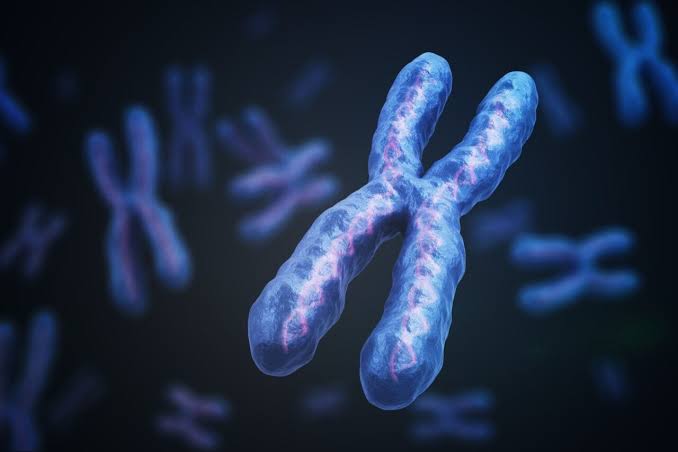 Scientists Discover Potential Path to Treating Down Syndrome