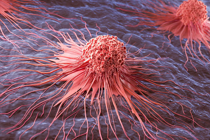 Scientists Uncover Fatal Weakness in “Zombie Cells” Linked to Cancer