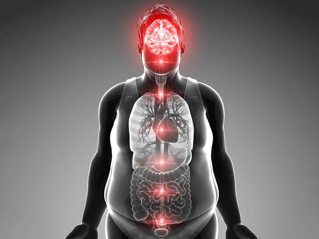 Scientists Say This Natural Hormone Reverses Obesity by Targeting the Brain