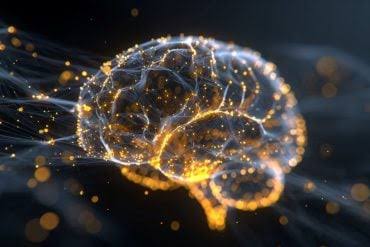 AI Turn "Hidden Patterns" Into ADHD Insights