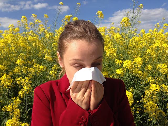 If you feel cranky and tired, you may have spring allergy fatigue